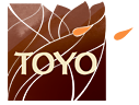 Toyo (Япония)
