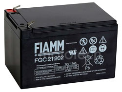  Аккумуляторные батареи Аккумуляторная батарея  FGC21202 - фото